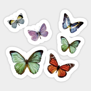 Variation of colorful butterflies Sticker